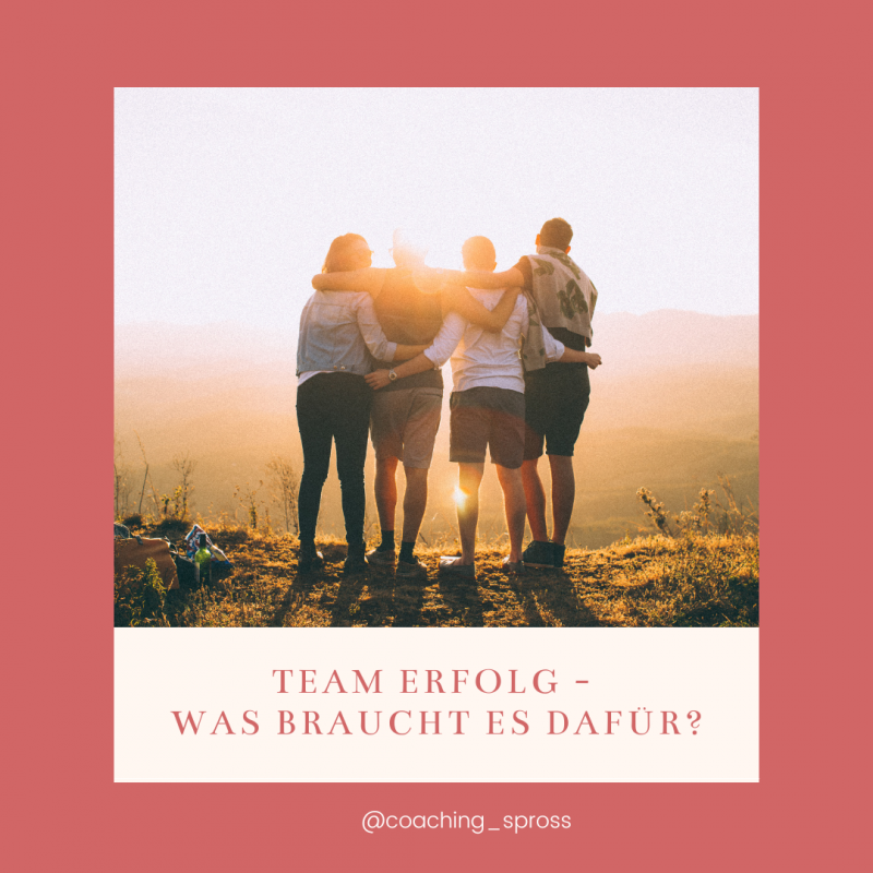 team erfolg team erfolg