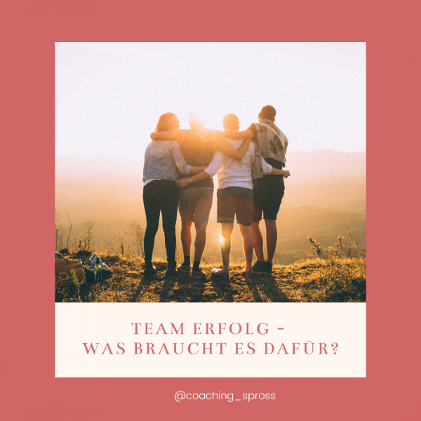 team erfolg